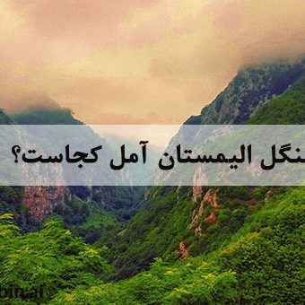 جنگل الیمستان آمل کجاست؟