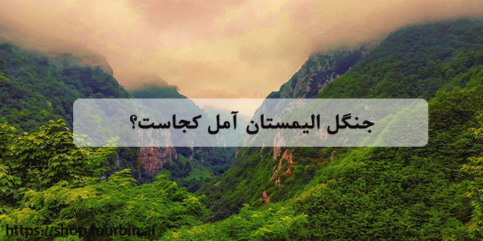 جنگل الیمستان آمل کجاست؟ جنگل الیمستان آمل کجاست؟