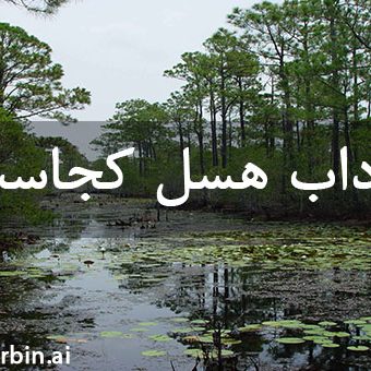 مرداب هسل کجاست1