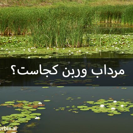 مرداب وربن مرداب وربن