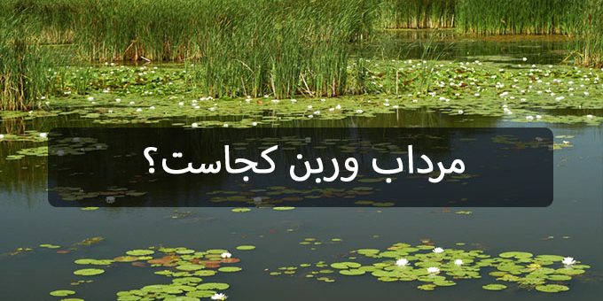 مرداب وربن