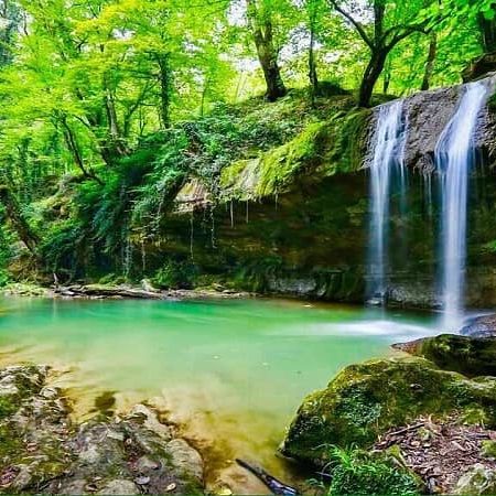 2021-7-6b5d8369-0ce8-43de-9862-4cf4a1da6a33-67c4610bc1067c5ba76772df