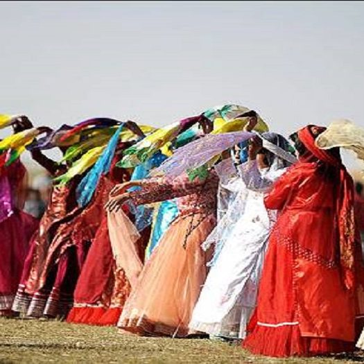 جشنواره عروسی درخت نارنج فارس