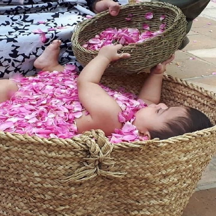 جشن گل غلتان