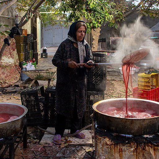 جشنواره انار فارس