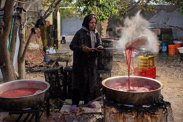 جشنواره انار فارس