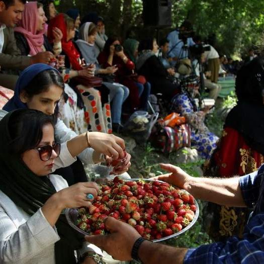جشنواره توت فرنگی