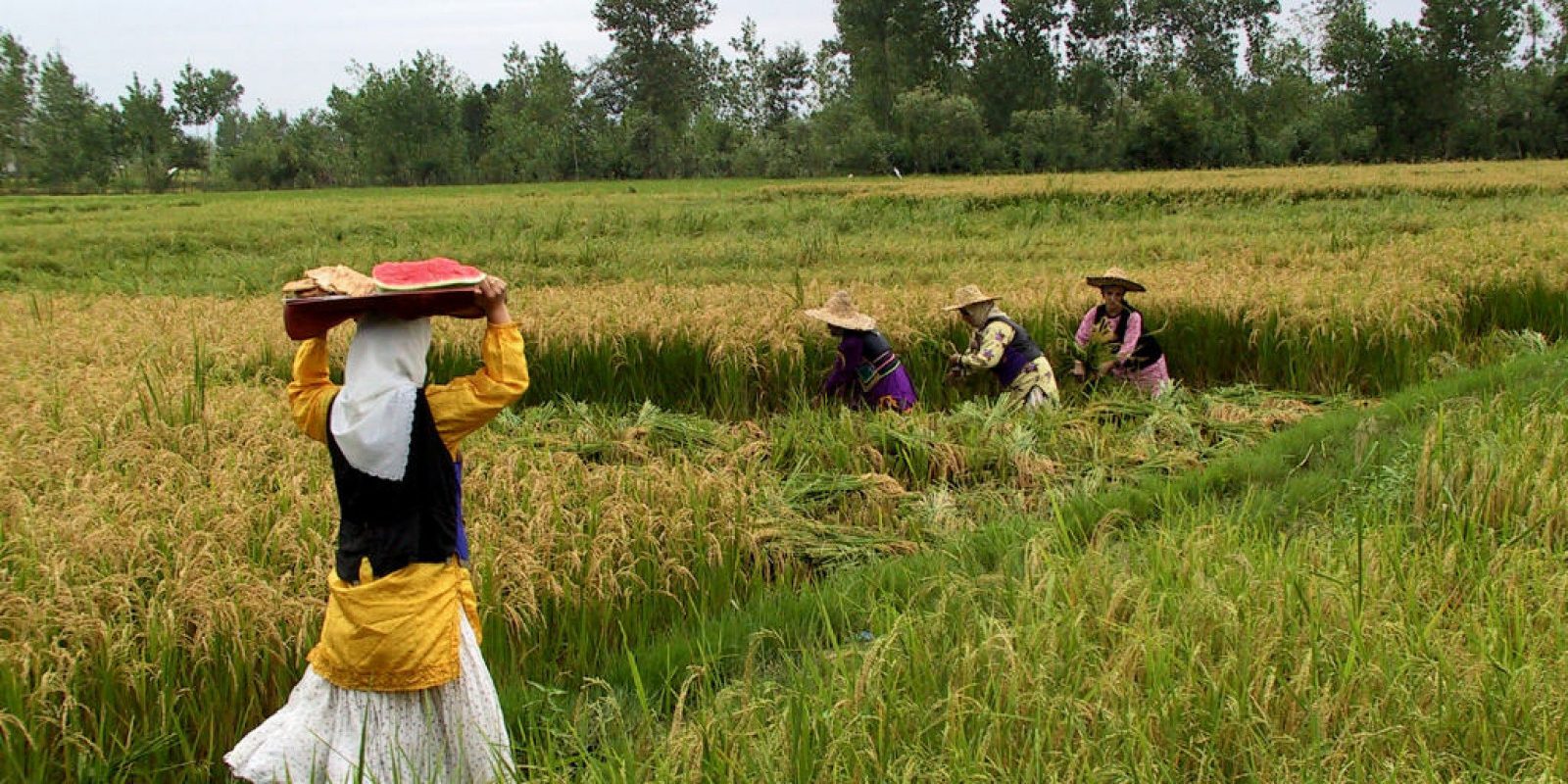 جشنواره خرمن