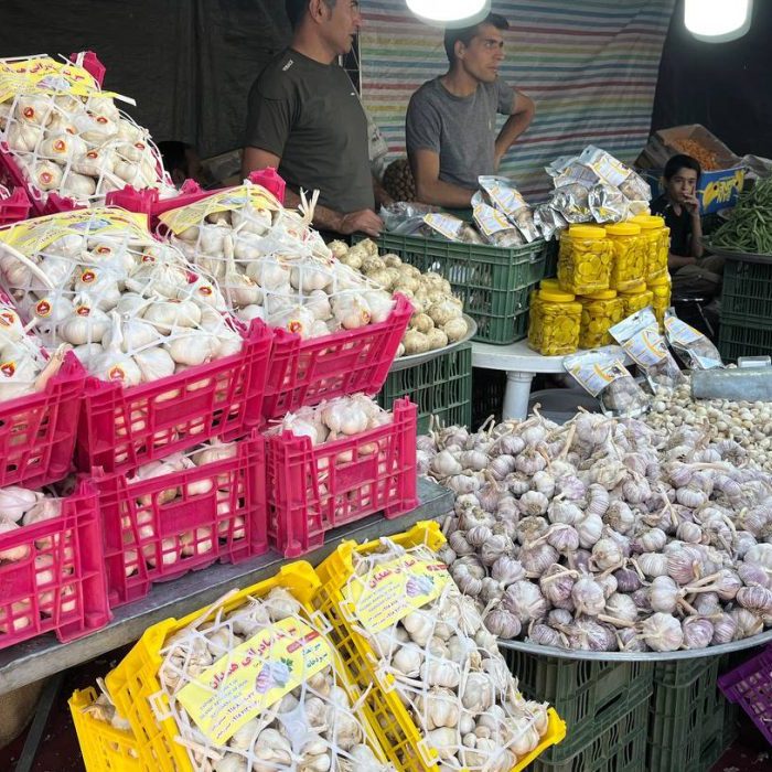 جشنواره ملی سیر و موسیر