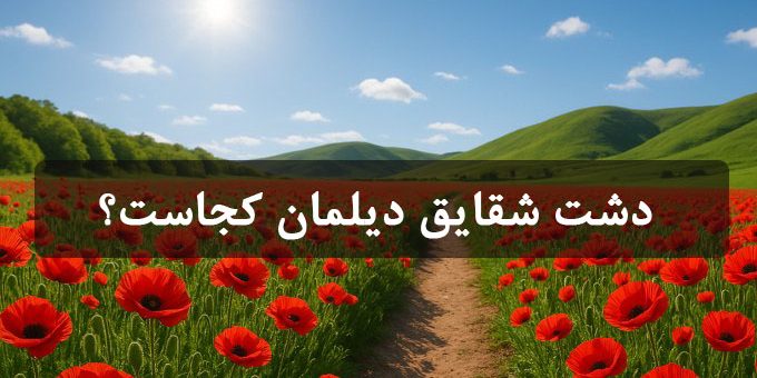 دشت شقایق دیلمان کجاست؟ دشت شقایق دیلمان کجاست؟