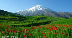دشت لار کجاست