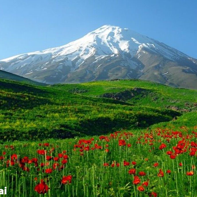 دشت لار کجاست دشت لار کجاست