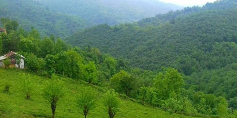 سیاهکل-گیلان-کجاست-و-چرا-باید-به-آن_جا-سفر-کنیم؟-780×470