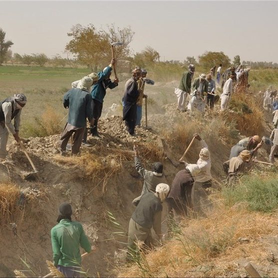 مراسم حشر کردن