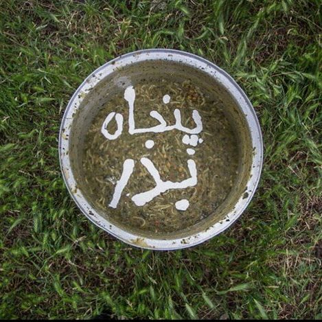 مراسم پنجاه گرد