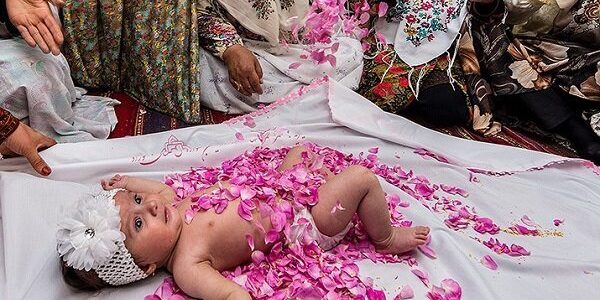 گل غلتان خراسان