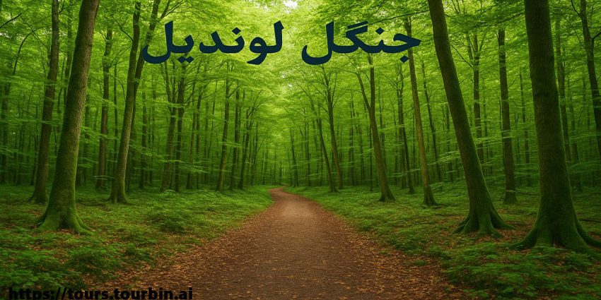 جنگل لوندیل جنگل لوندیل