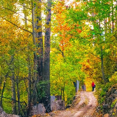 روستای آهار کجاست؟