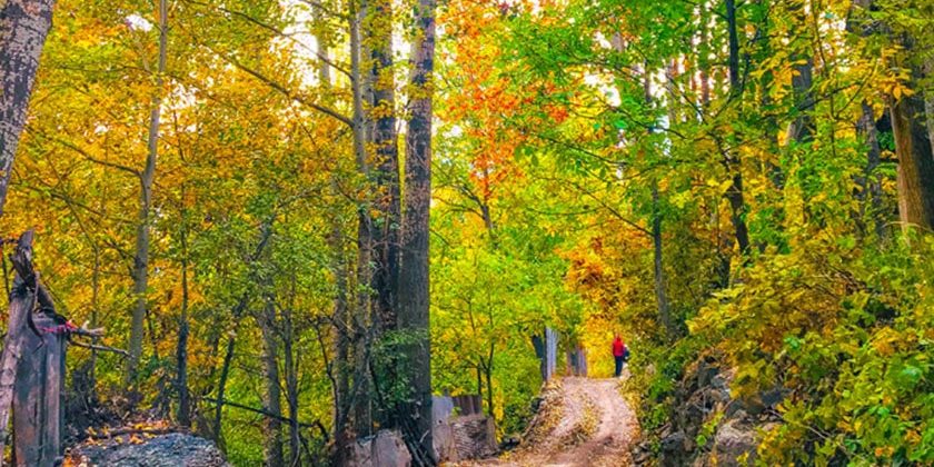 روستای آهار کجاست؟ روستای آهار کجاست؟