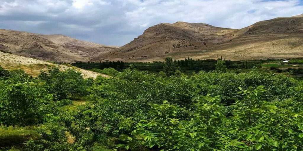 روستای زرین دشت کجاست