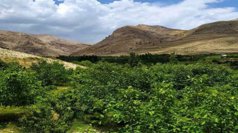 روستای زرین دشت کجاست