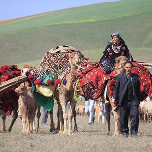 عشایر شاهسون