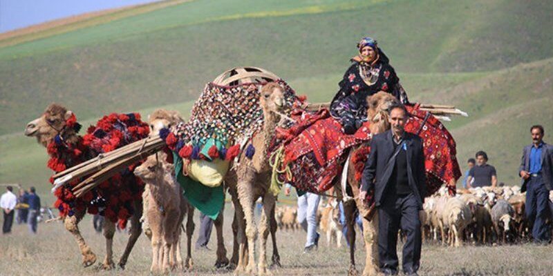عشایر شاهسون