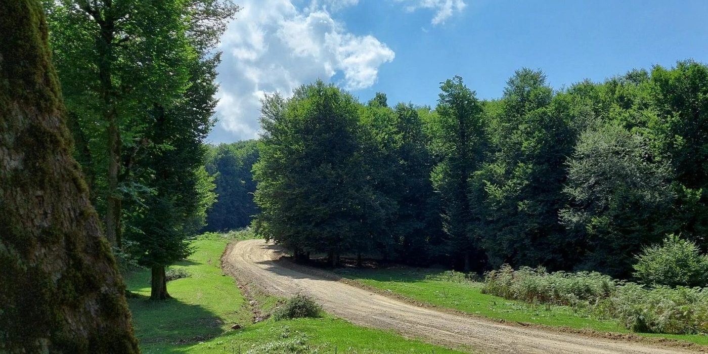 تکه‌ای از بهشت در ارتفاعات کلاردشت