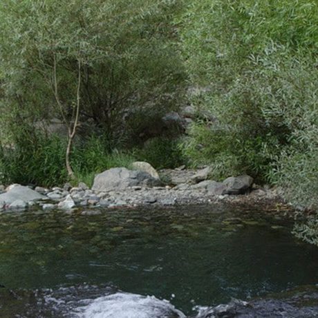 رودخانه داراباد رودخانه داراباد