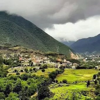 -لاویج-4-e1691046970412 -لاویج