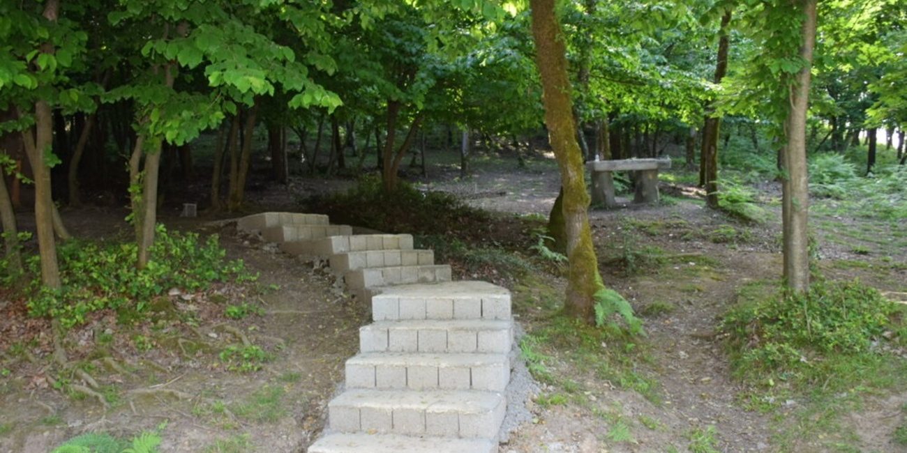 پارک جنگلی بی بی یانلو پارک جنگلی بی بی یانلو