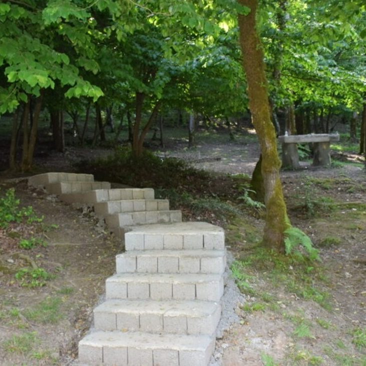 پارک جنگلی بی بی یانلو