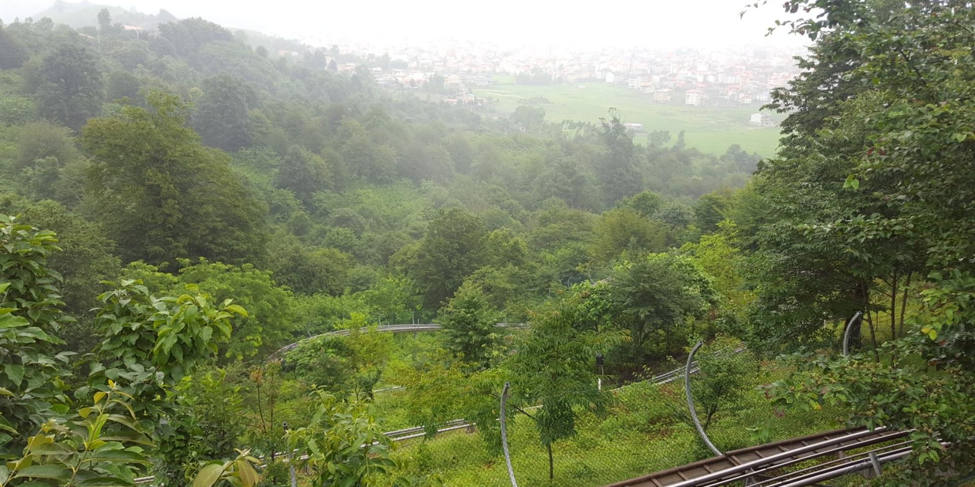 پارک-جنگلی-سیاهداران