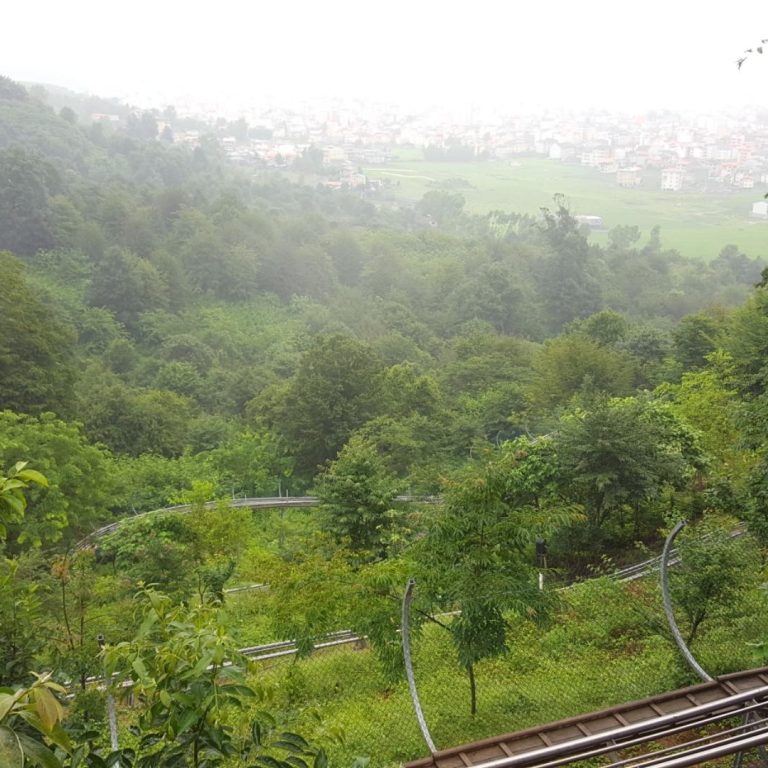 پارک-جنگلی-سیاهداران پارک-جنگلی-سیاهداران