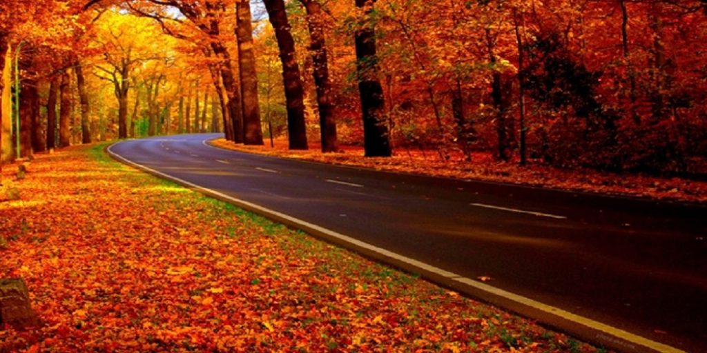 پاییز اسالم به خلخال
