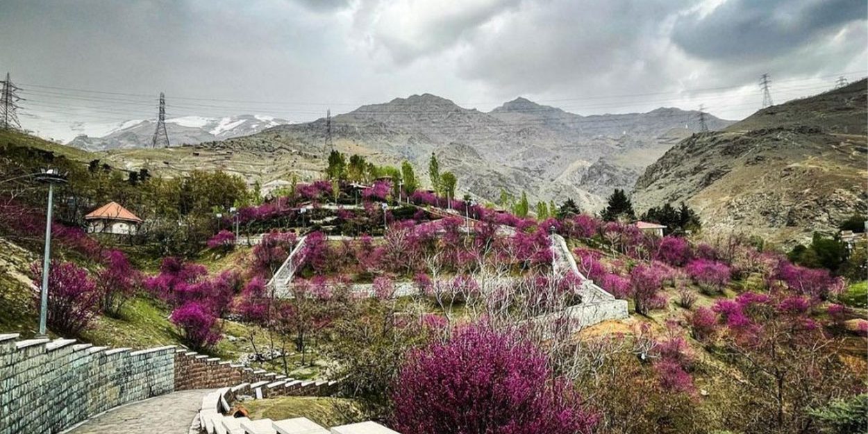 گلابدره تهران گلابدره تهران