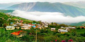 تور جنگل ابر 