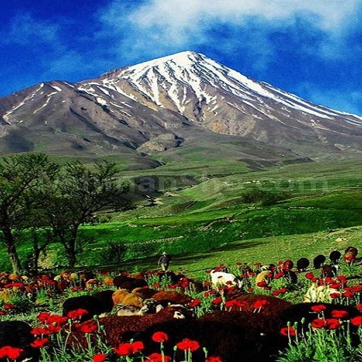 کیفیت تورهای طبیعت‌گردی