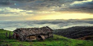 سفر به جنگل ابر 