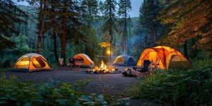 تورهای طبیعت‌گردی 