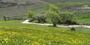 جاده یوش بلده 