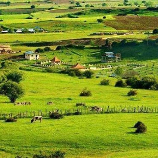 کمپ تابستانی