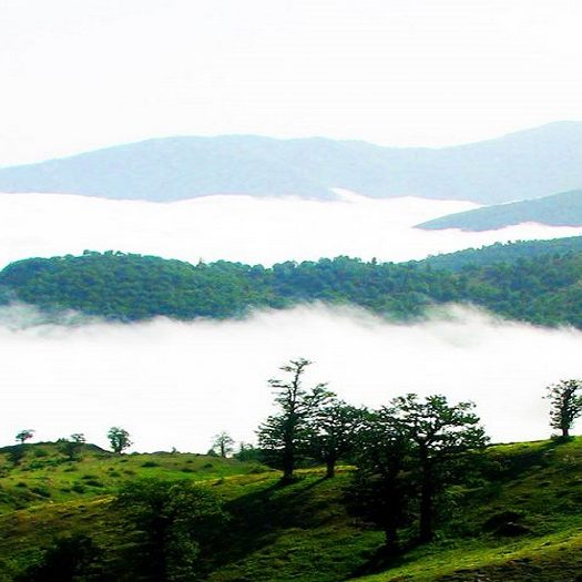 تور جنگل ابر تور جنگل ابر