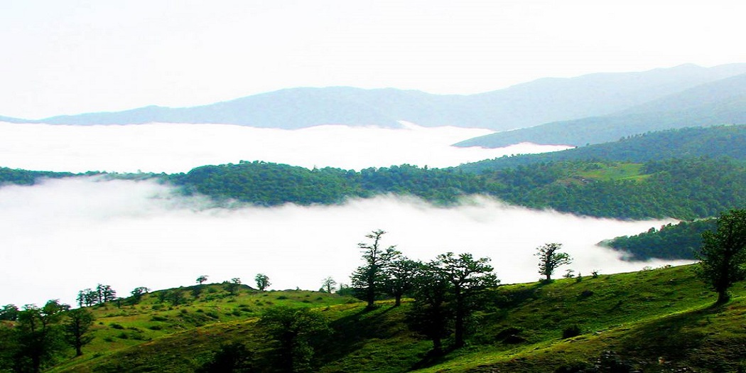 تور جنگل ابر تور جنگل ابر