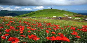 سفر جاده‌ای از تهران به شمال با خودروی شخصی