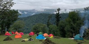 طبیعت‌گردی 