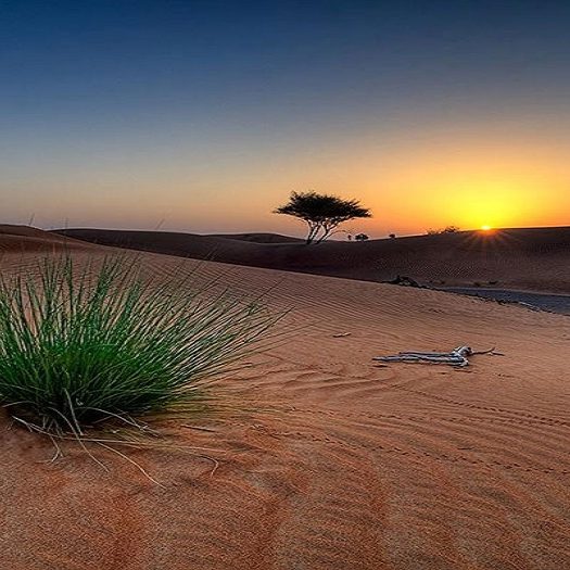 سفر به کویر سفر به کویر