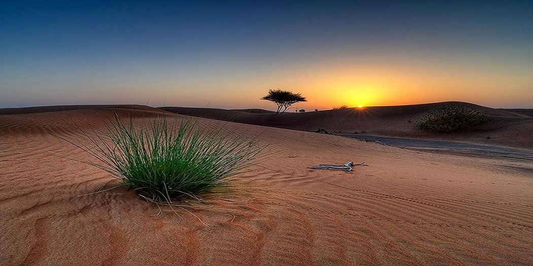 سفر به کویر سفر به کویر