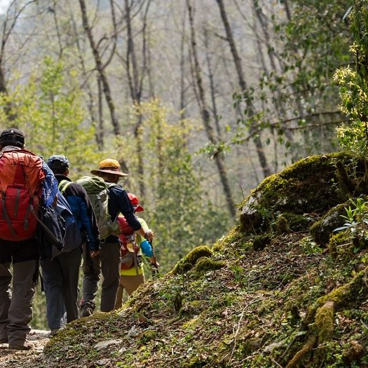 تورهای آخر هفته تهران