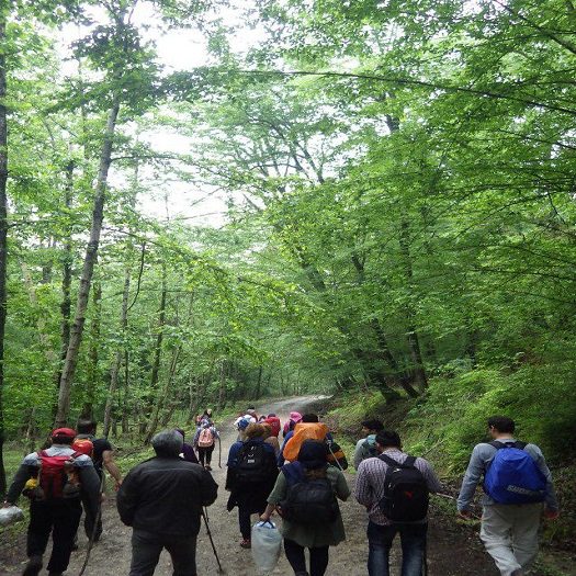 انتخاب تور طبیعت‌گردی